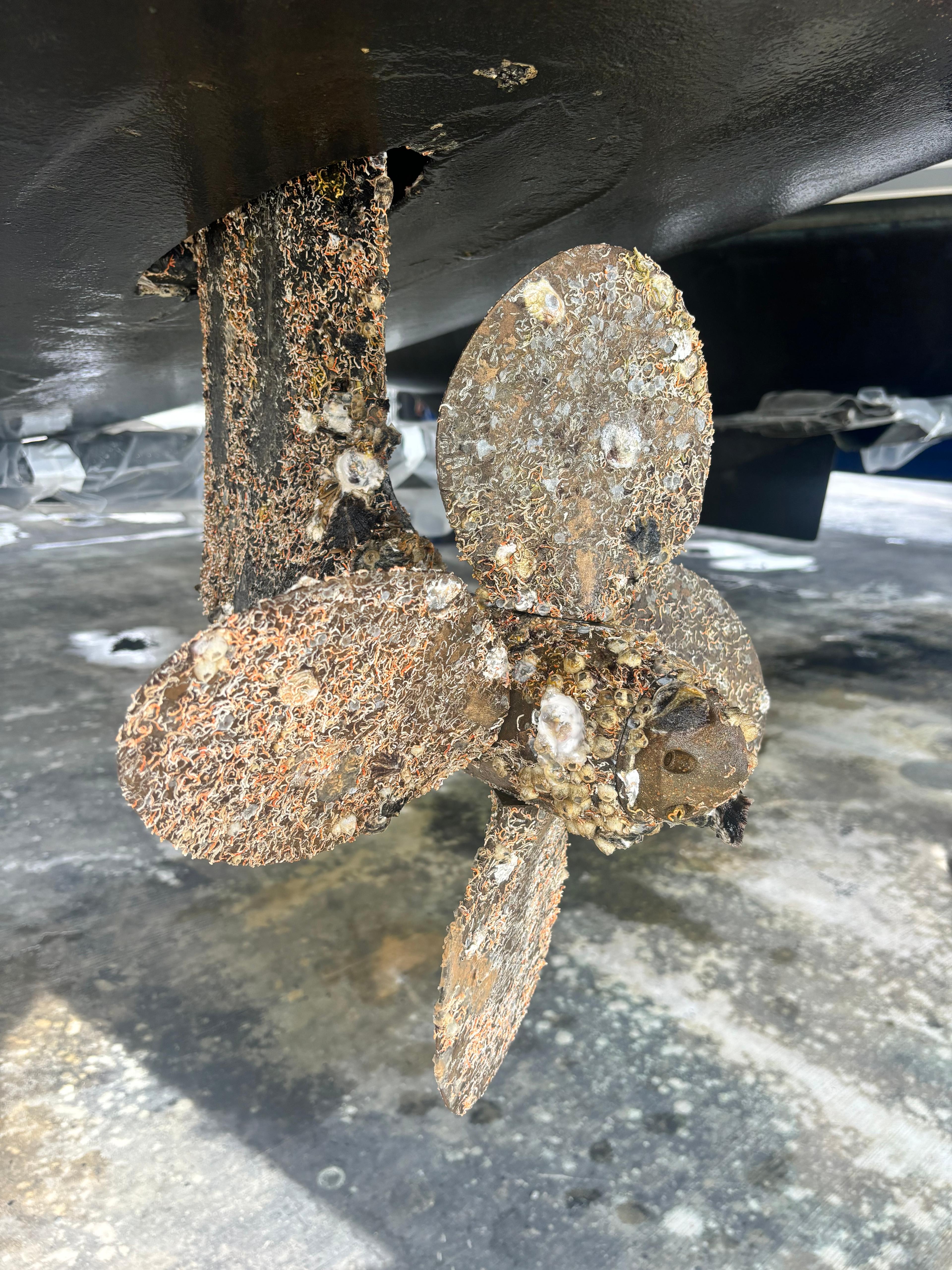 Professional Service